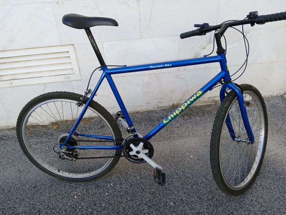 Bicicleta Montanha - Chippiwa
