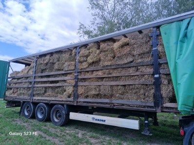 siano  kostki ściółka pokój 2025