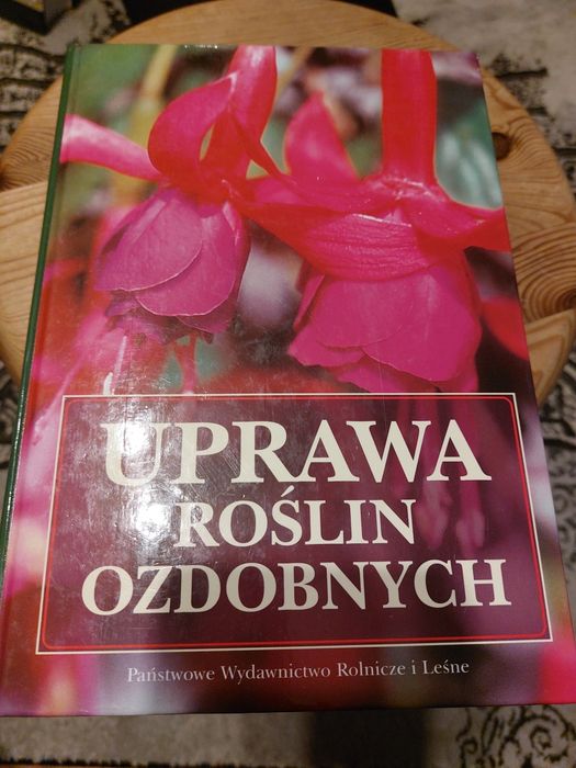 Uprawa roślin ozdobnych