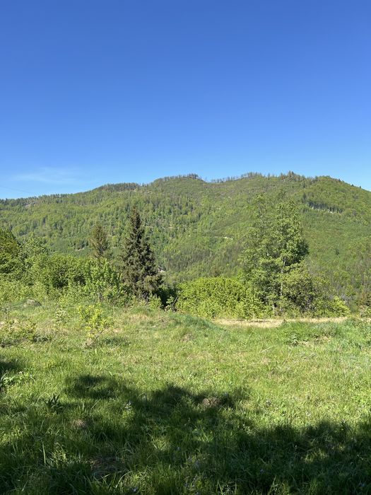 Продам земельну ділянку Славське