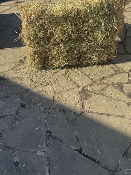 сіно лугове-сухе