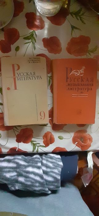 Книга.Русская литература 9 класс,Русская музыкальная литература.См фот