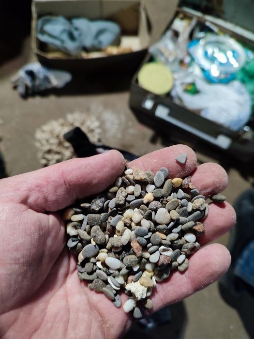 Продам карал и грунт всё вместе