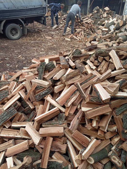 Дрова дубовые колотые отл.качесва (не трухлявые)