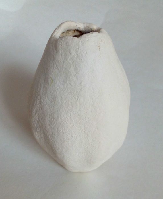 Ваза для сухоцветов ручной работы, вазочка из декоративной тыквы