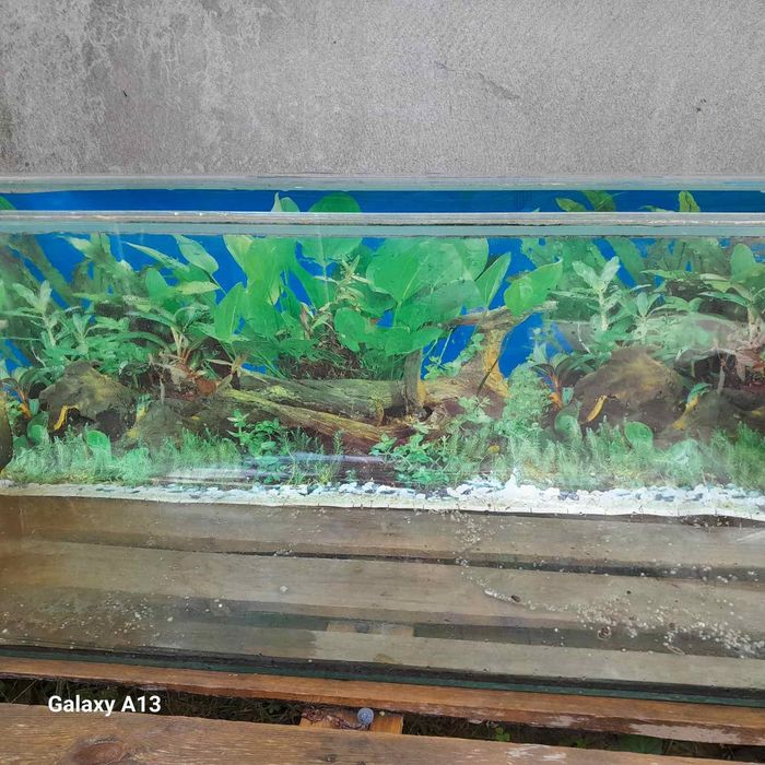Акваріум б/в 240 літрів