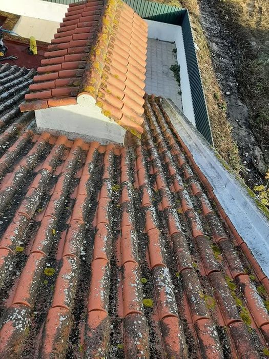 Serviços de Limpeza e Manutençao
