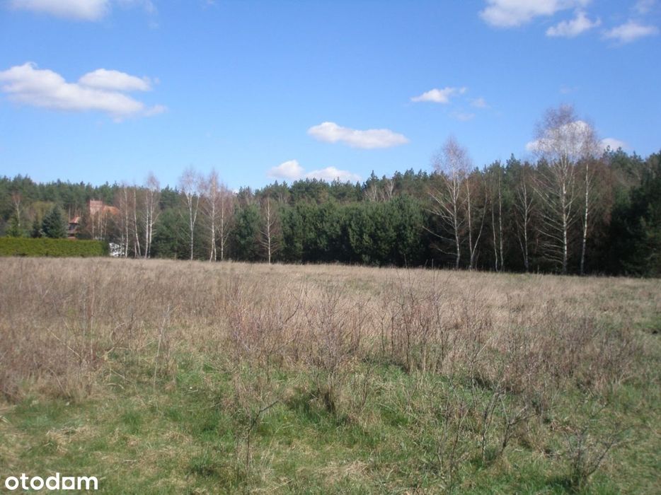 Działka, Borówiec