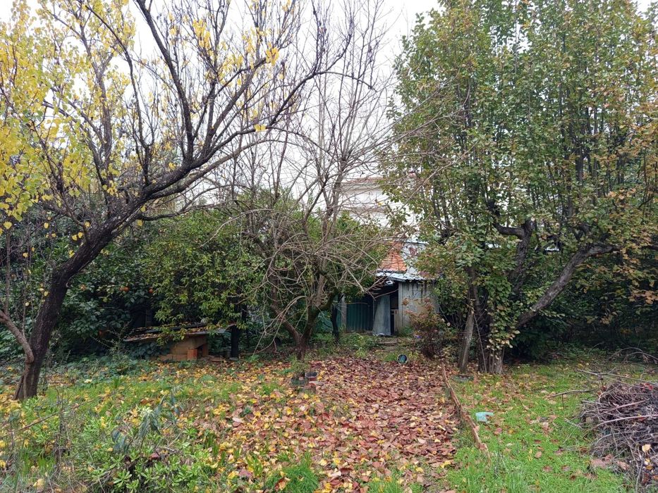 Terreno agrícola- Penalva do Castelo