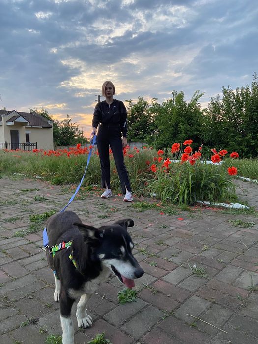 Кінолог | Зоопсихолог | Онлайн та офлайн