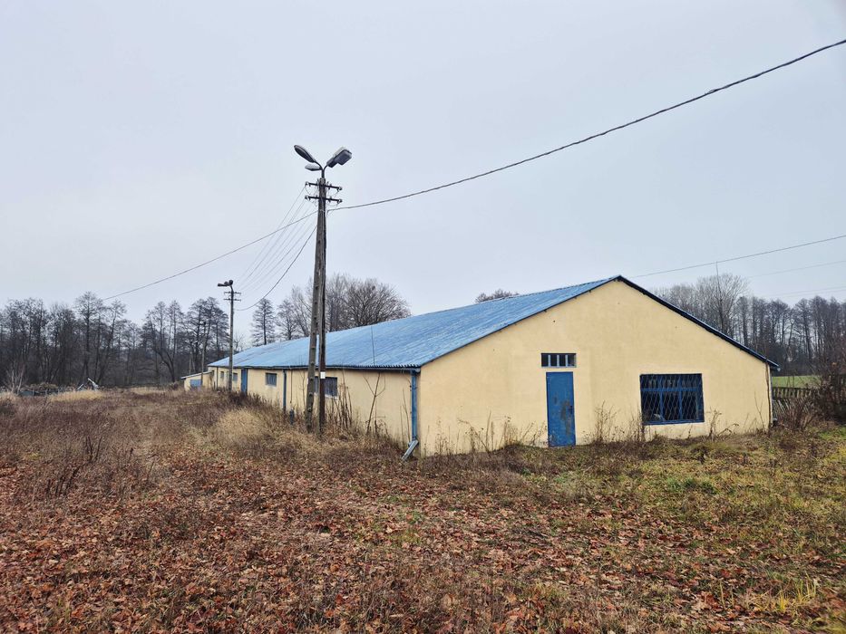 Hala produkcyjno-usługowa Białynin Krasówka gmina Głuchów