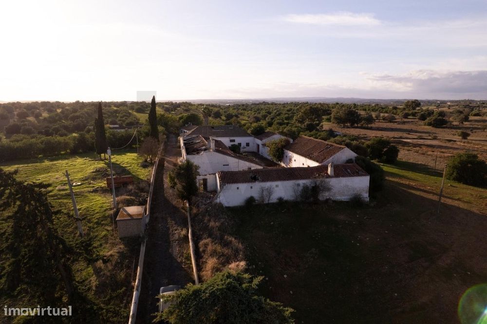 Oportunidade Única: Quinta Centenária para Recuperar em Localização Pr