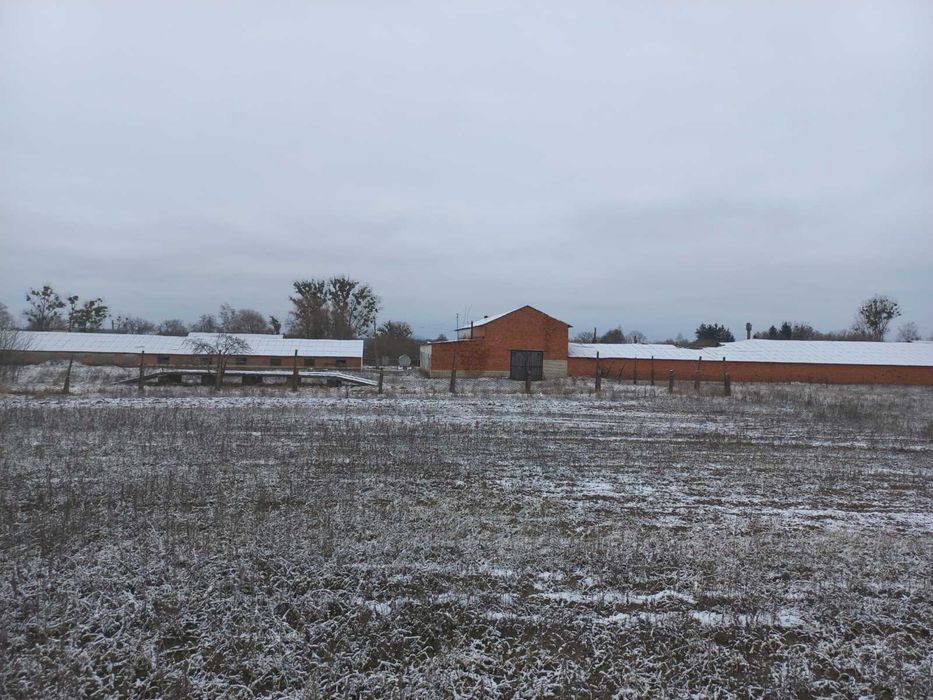 Комплекс з 6 госпорадських будівель с.Незабудка