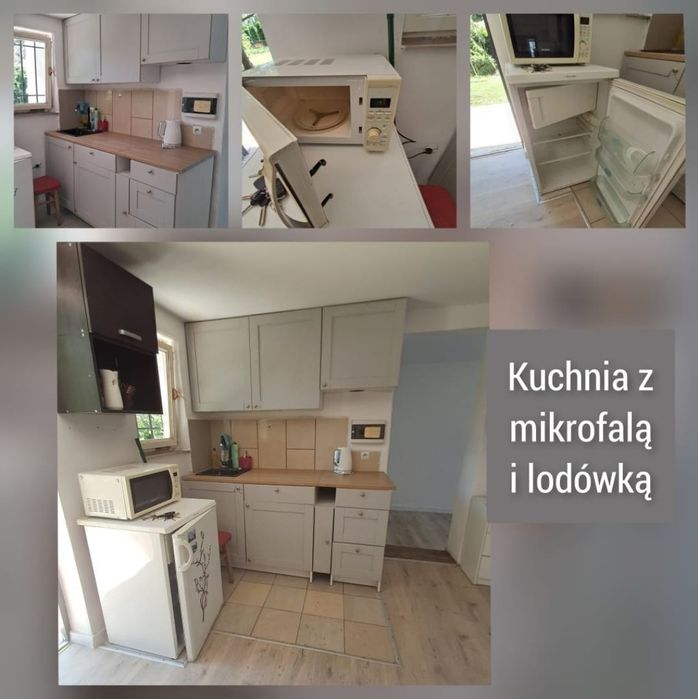 Działka ROD Minikowo (Starołęka)