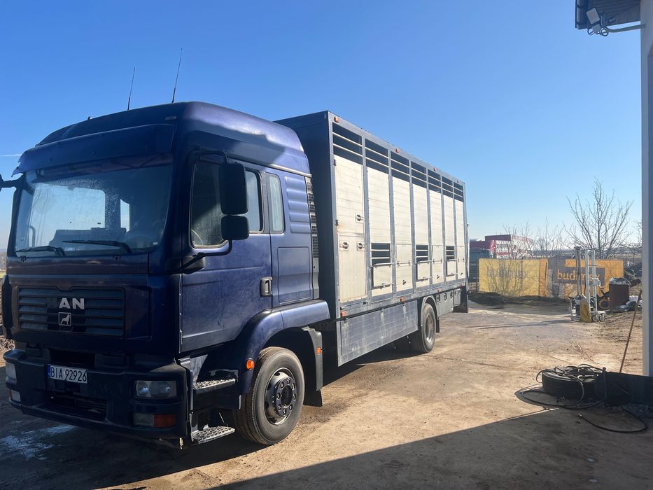 Man tgm 15.280 do bydła, żywca, zwierząt