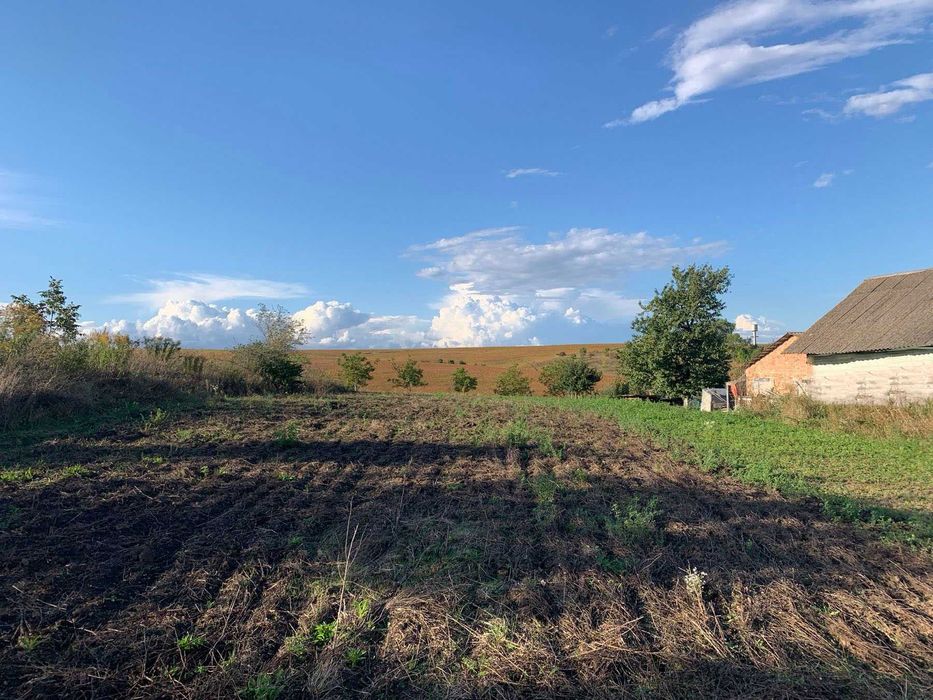 Продам ділянку 25 сотих зі старим будинком, с. Ставки