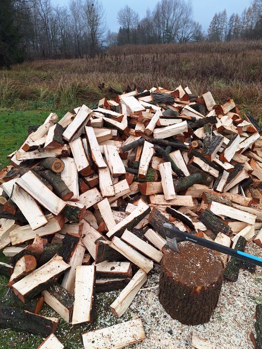 Usługi rębakiem, wycinka drzew, frezowanie pni wynajem, dowóz, darmowa