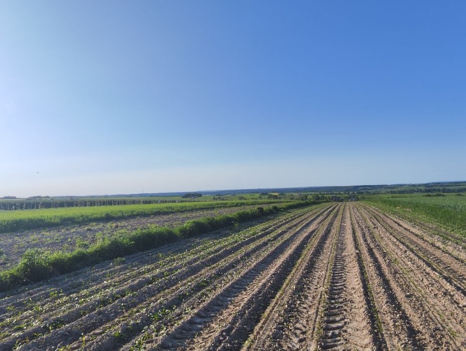 Działka rolna, rekreacyjna