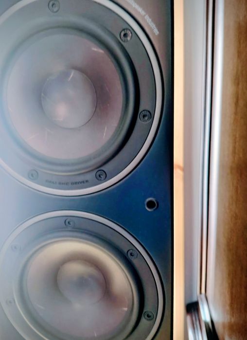 DALI Oberon 5 – Colunas de chão Hi-Fi | Excelente estado | audiófilo