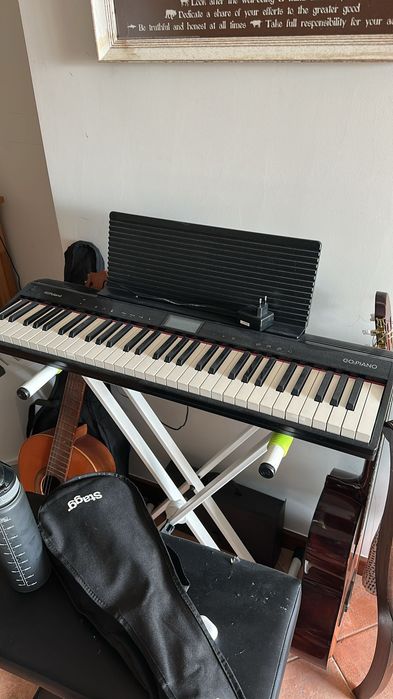 Roland GO:PIANO GO-61P - 61 Teclas