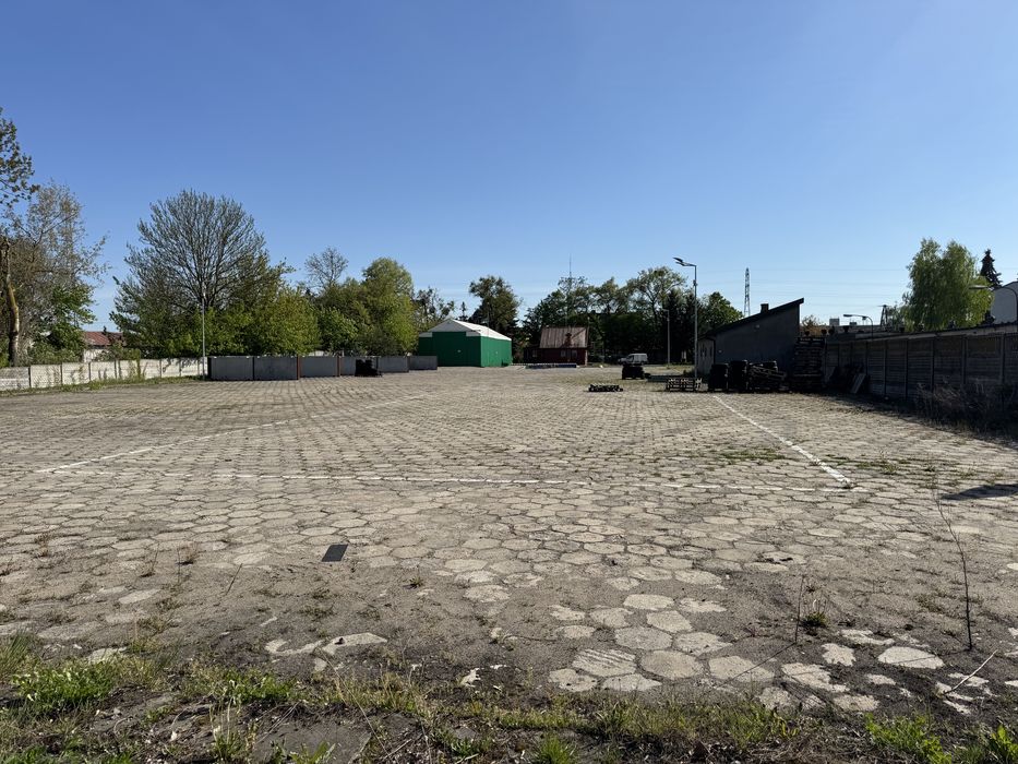 Zdjęcie 7