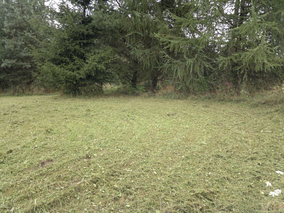 działka rekreacyjna na Mazurach - Widok 5