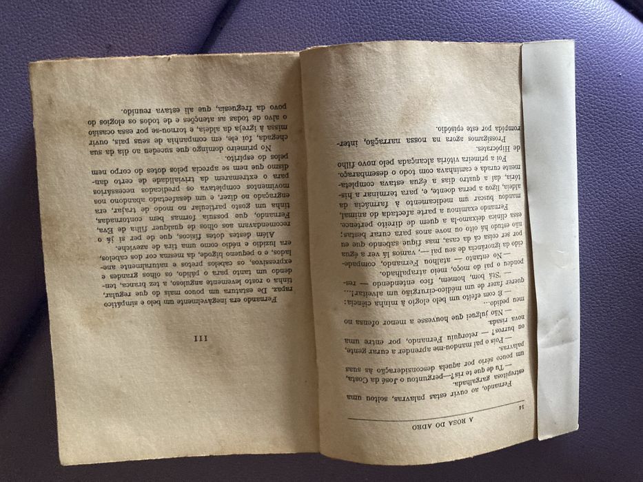Rosa do Adro livro vintage