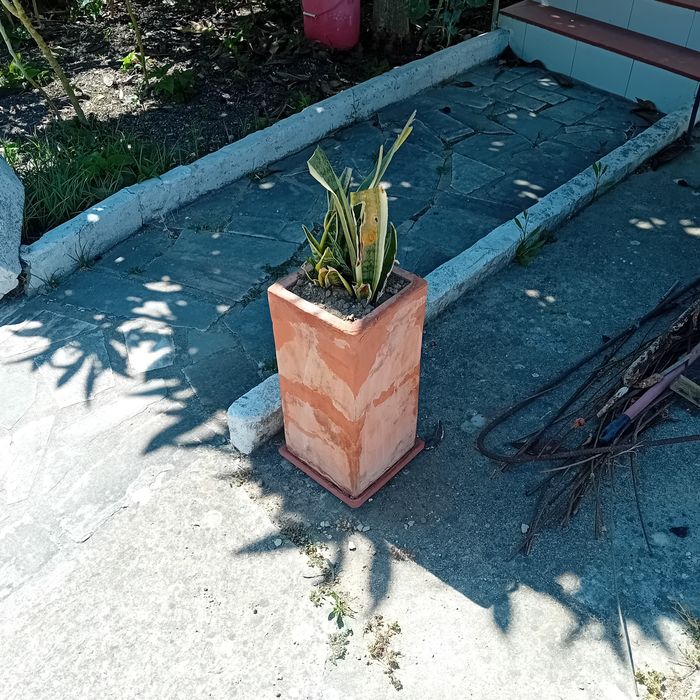 Vendo vaso quadrado vertical.