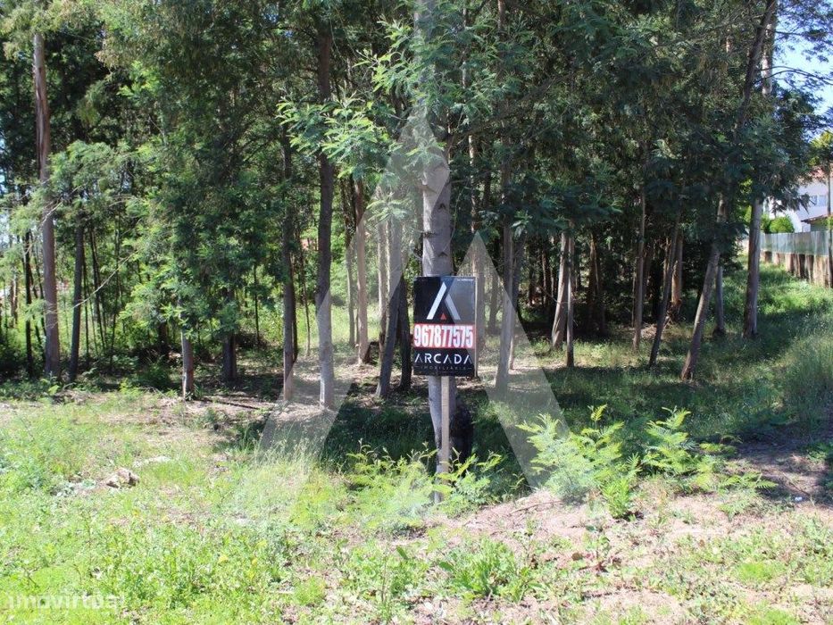 Terreno na Macida para Construção — Macinhata do Vouga, Aveiro