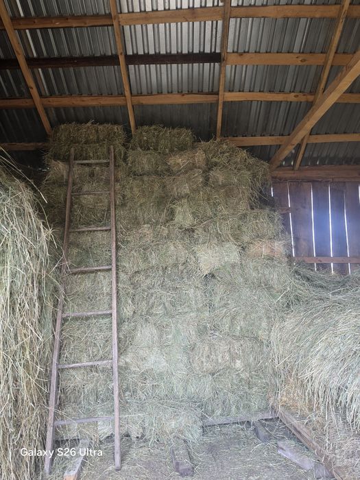 Продам сіно в тюках
