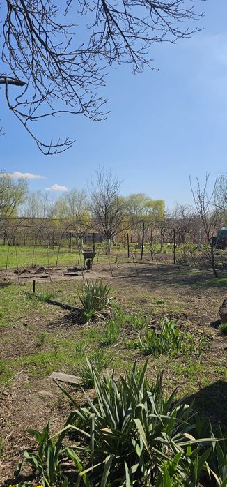 Продам дом дачу выход в реку дом с участком купить