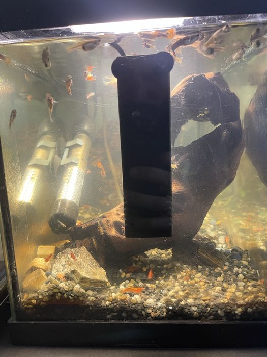 Aquairo completo 20 litros