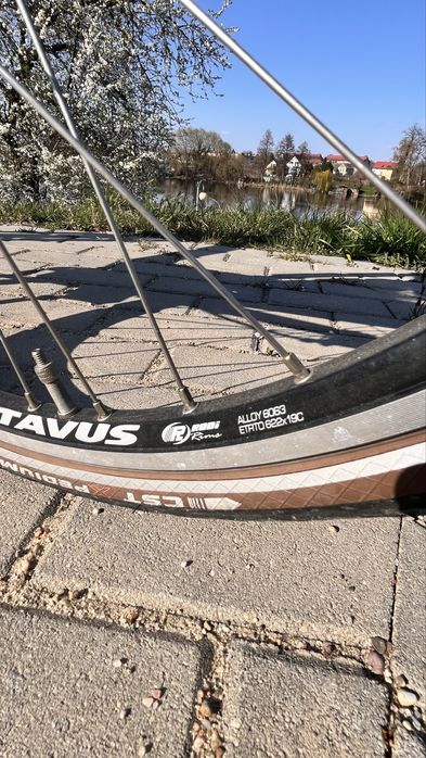 Rower Batavus allround