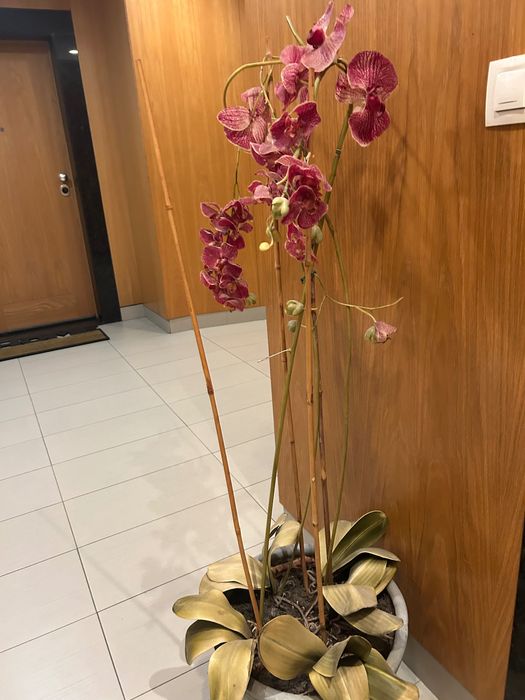 Vaso decorativo Orquídeas