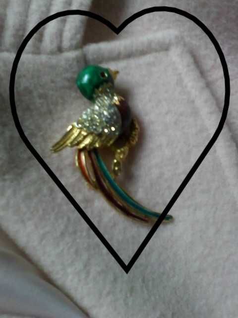 Pregadeira para casaco ou lenços colorido com pedras brilhantes