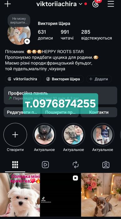 Суперові малюки. Йріки мажорики