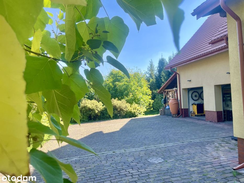 Dom – Głuchołazy, Osiedle Koszyka, powiat nyski - Widok 4