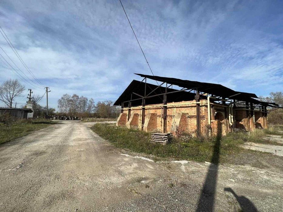 Продаж виробничо-складського приміщення, цегельний завод, с. Горбачі