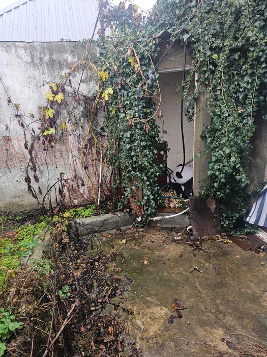 Будинок за адресою (площа 42 м²) - Atlanta.ua - фото 9