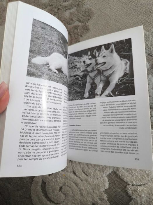 Livro O Husky Siberiano