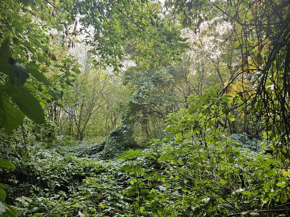 Продам ділянку(15 соток)у власності. Під забудову на Ярославів вал 17