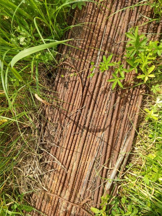 Stal  zebrowana fI 6,810