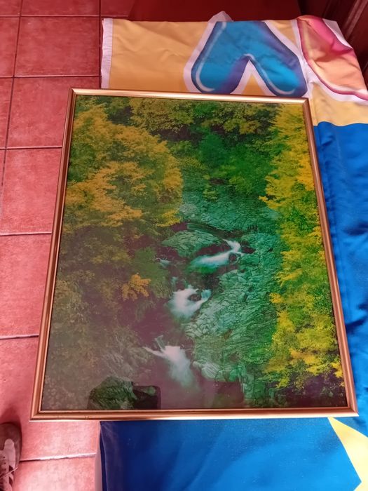 Quadro Decorativo