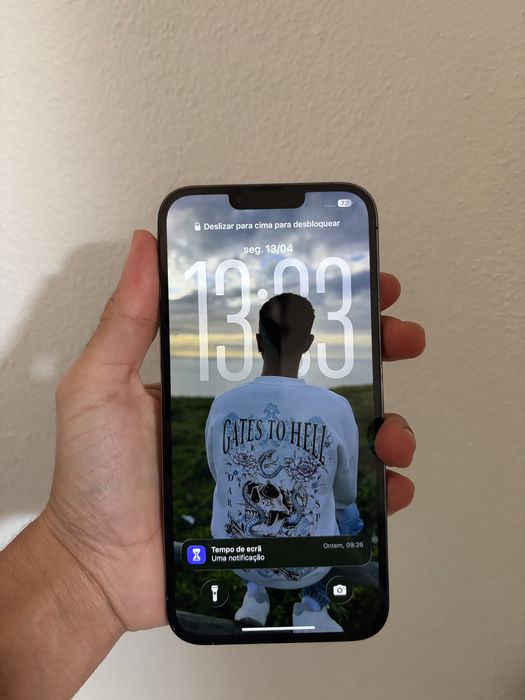 Iphone 13 pro max 256gb