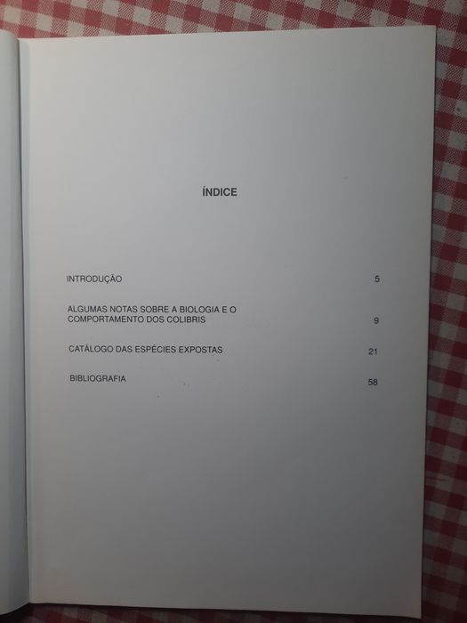 OS  COLIBRIS da coleção "Braga Junior"