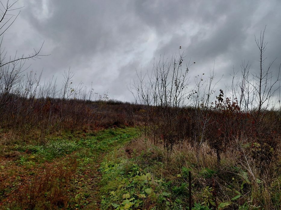Продається земельна ділянка кленовий гай
