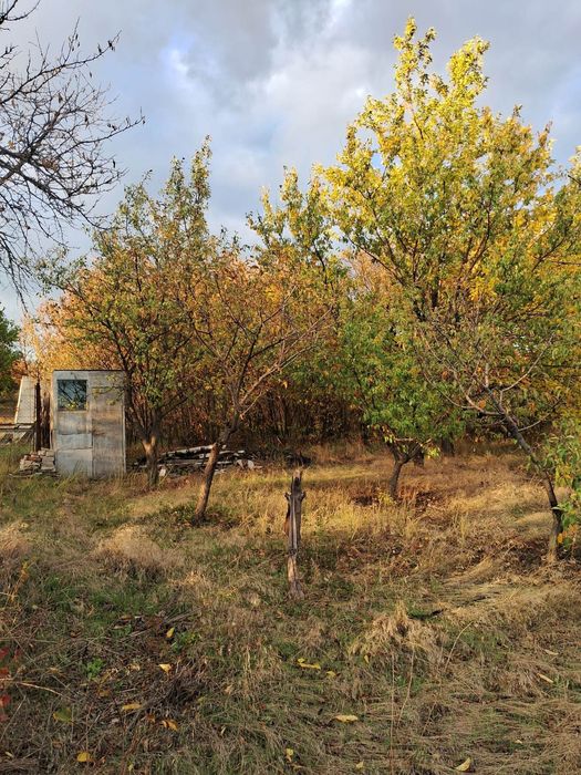 Дача за Даманським 1 км
