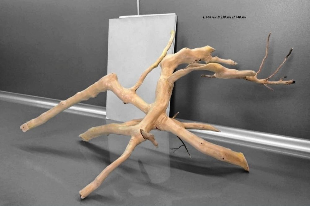 Коряга в Аквариум/террариум с дерева  КЛЕН