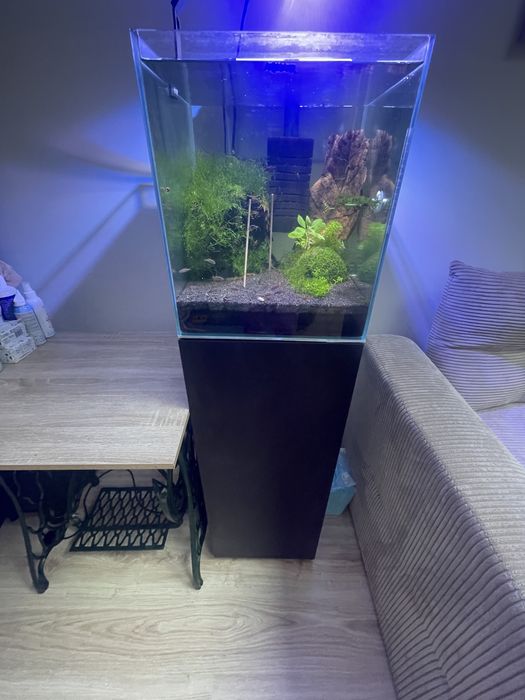 Akwarium z szafką aquael nanoreff duo 49