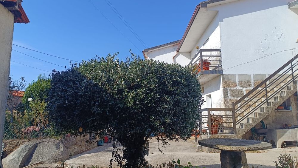 Moradia v4 em Baião